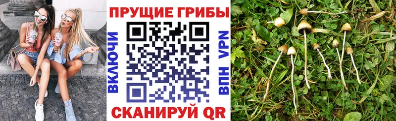 ссылка на мегу ТОР  Могоча  это состав  Псилоцибиновые грибы Psilocybine cubensis 